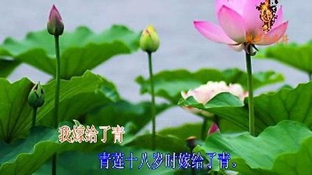 木瓜吟诵视频,古韵悠扬，传承千年文化之美