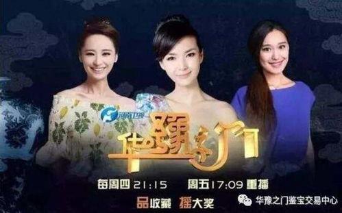 华豫之门全部完整视频,探寻千年宝藏，揭秘历史传奇