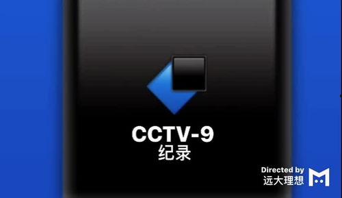 9视频在线,揭秘热门视频背后的精彩故事