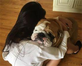 女人与狗性交视频