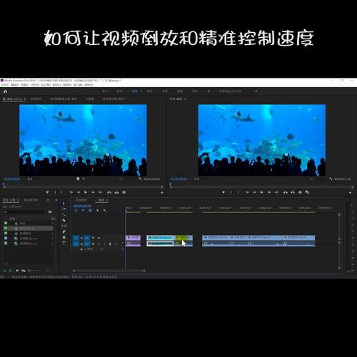 视频控制,探索现代媒体技术的奥秘