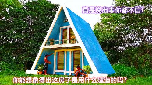 房子视频,房子视频深度解析