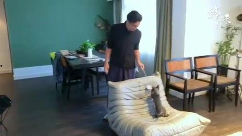 自撸视频,探索私密世界的真实面纱